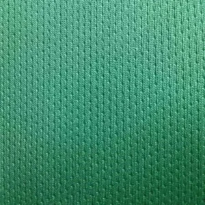 Spun Polyester Fabric